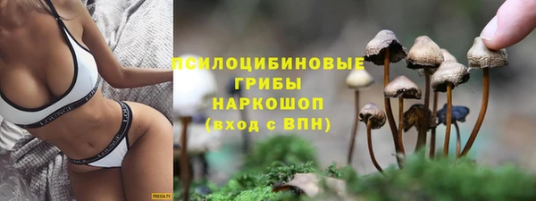 ГАЛЛЮЦИНОГЕННЫЕ ГРИБЫ Куйбышев