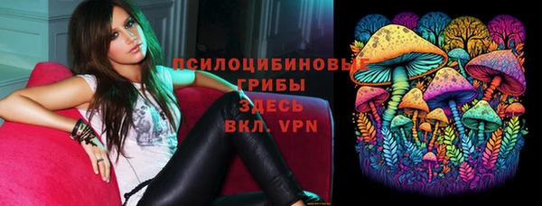 mdma Кукмор