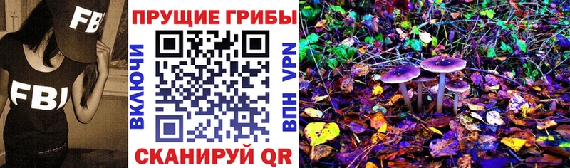 купить наркотик  Оренбург  Галлюциногенные грибы Magic Shrooms 