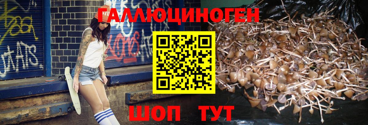 Галлюциногенные грибы Cubensis Оренбург
